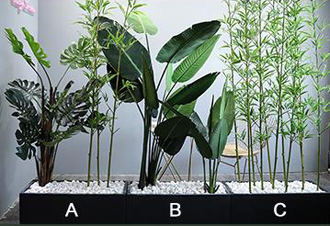 �����̻�ֲ������